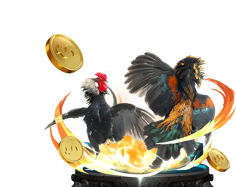 Cá cược bóng đá tại Đá Gà 67