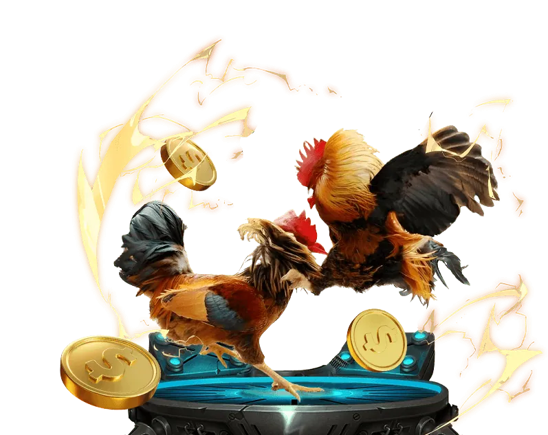 Quy Tắc Đá Gà da ga 67